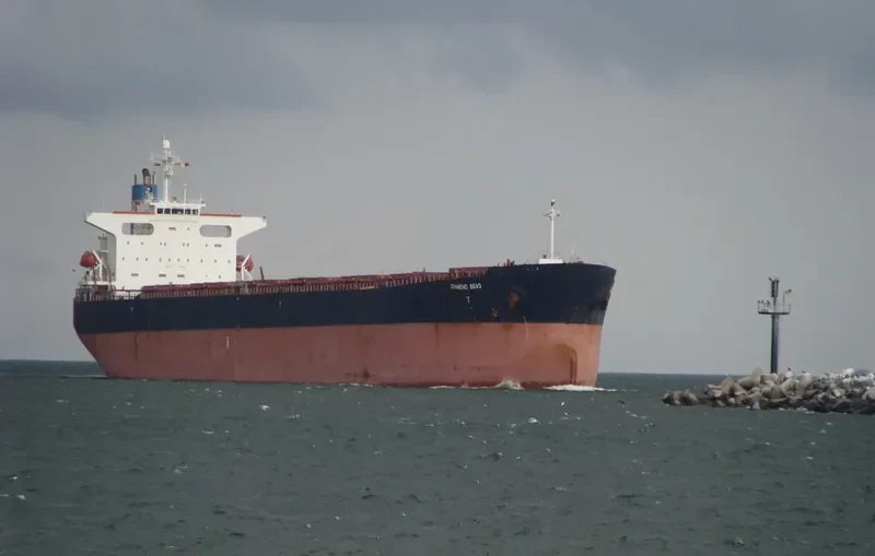 DIAMOND Bulk Carrier IMO 9244219 photo 5