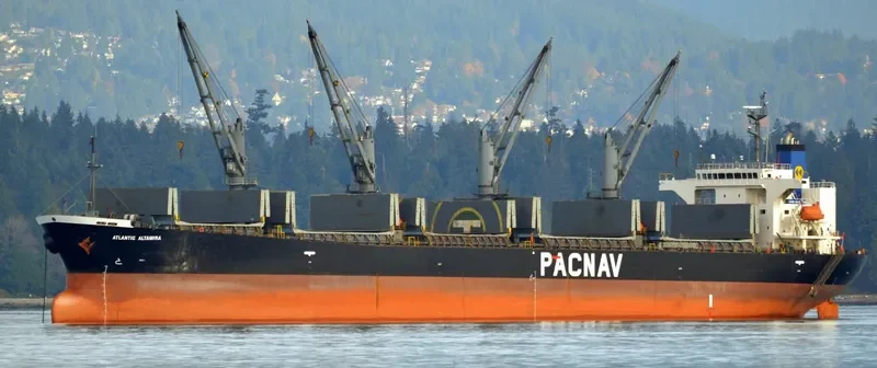 WORLDERA 1 Bulk Carrier IMO 9244245 photo 6