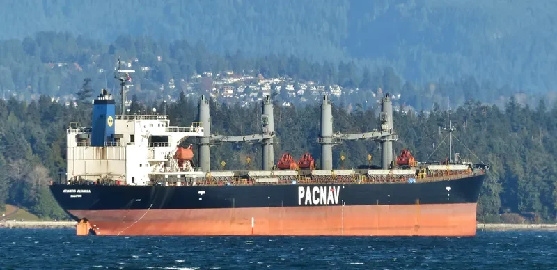 WORLDERA 1 Bulk Carrier IMO 9244245 photo 8