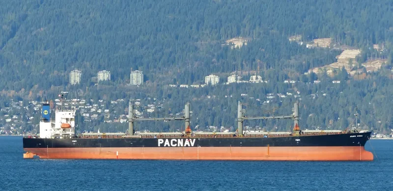WORLDERA 1 Bulk Carrier IMO 9244245 photo 9