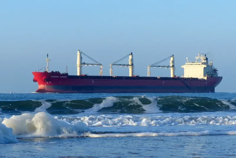 FEDERAL KUMANO Bulk Carrier IMO 9244257 photo 2