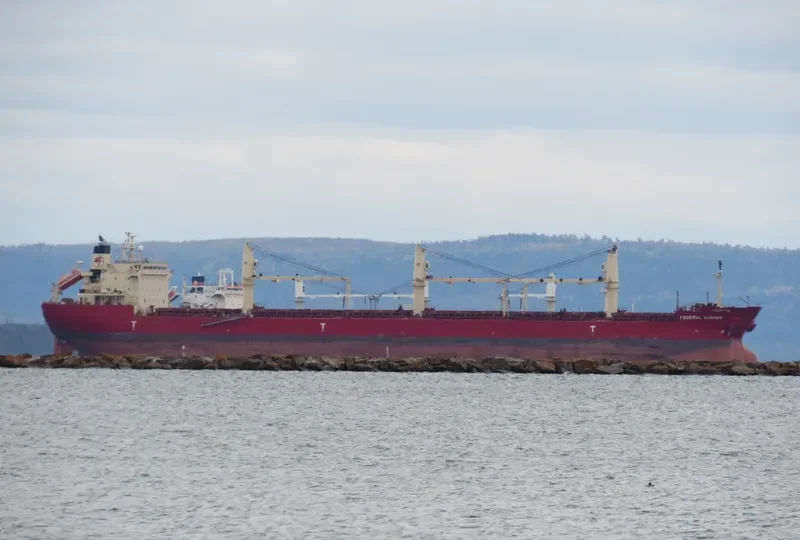 FEDERAL KUMANO Bulk Carrier IMO 9244257 photo 3