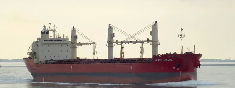 FEDERAL KUMANO Bulk Carrier IMO 9244257 photo 9