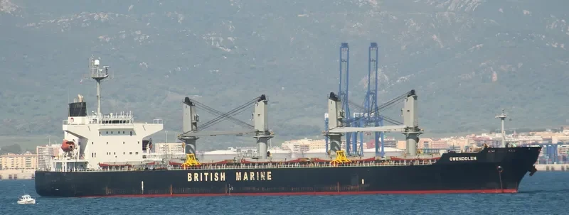 LUMOSO JAYA Bulk Carrier IMO 9244283 photo 7