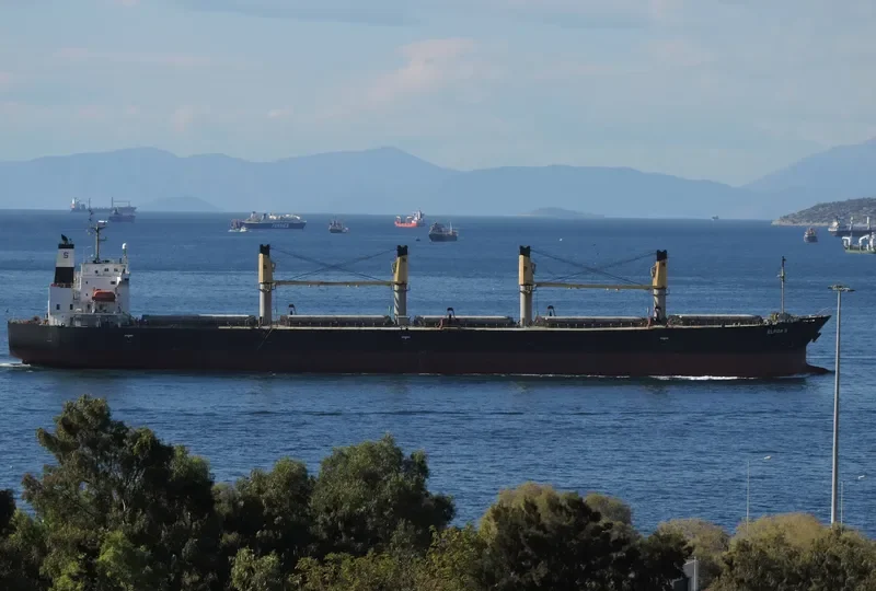 GREAT SHENG WEN Bulk Carrier IMO 9244295 photo 4
