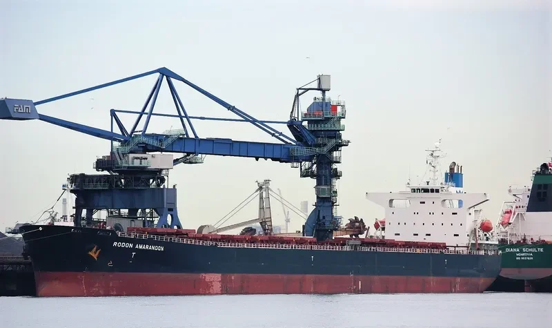 XIN YU Bulk Carrier IMO 9244362