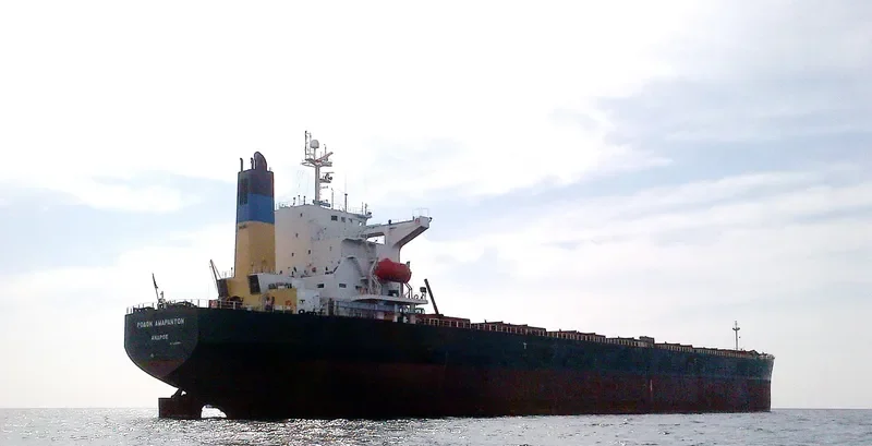 XIN YU Bulk Carrier IMO 9244362 photo 3