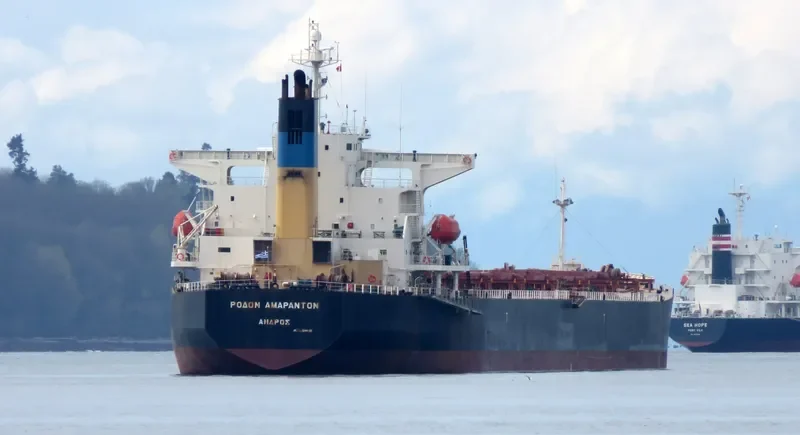 XIN YU Bulk Carrier IMO 9244362 photo 5