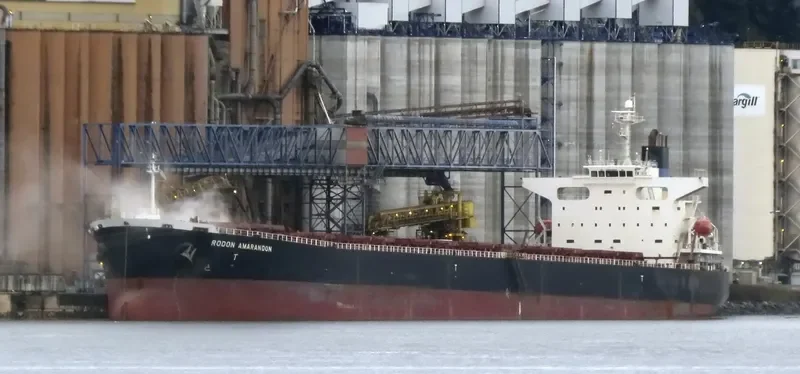 XIN YU Bulk Carrier IMO 9244362 photo 6