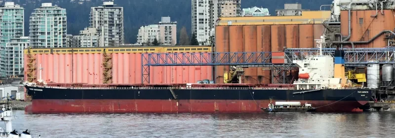XIN YU Bulk Carrier IMO 9244362 photo 7