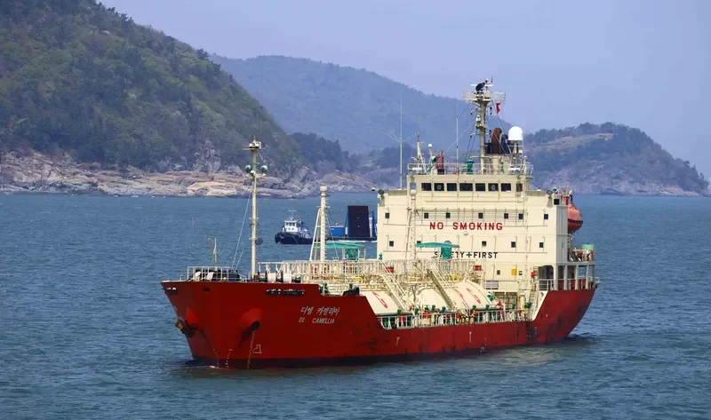 DL CAMELLIA General Cargo IMO 9244403