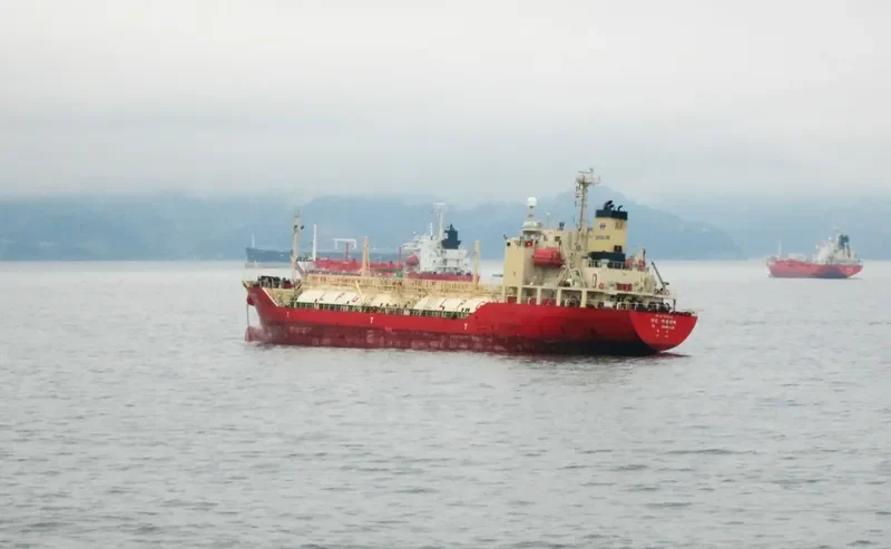 DL CAMELLIA General Cargo IMO 9244403 photo 2
