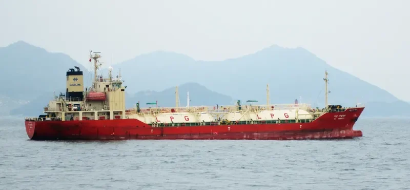 DL CAMELLIA General Cargo IMO 9244403 photo 3