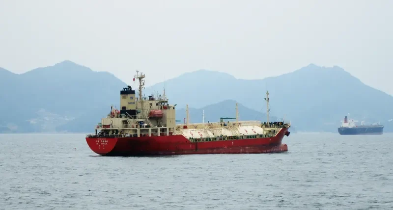 DL CAMELLIA General Cargo IMO 9244403 photo 4