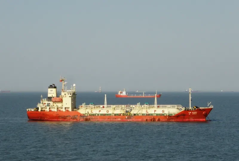 DL CAMELLIA General Cargo IMO 9244403 photo 5