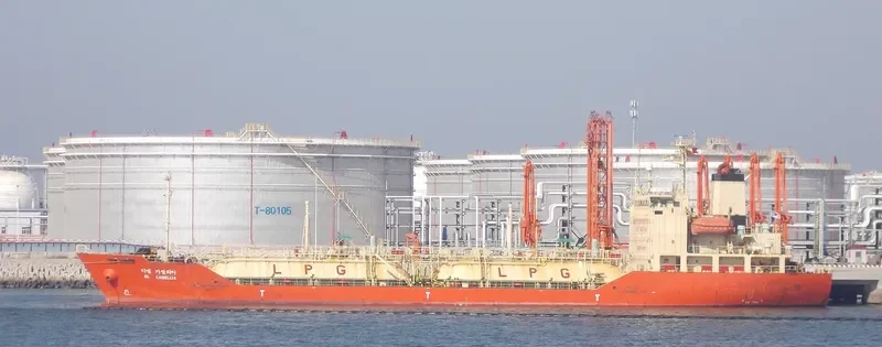 DL CAMELLIA General Cargo IMO 9244403 photo 7