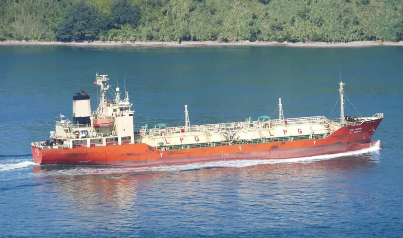 DL CAMELLIA General Cargo IMO 9244403 photo 9
