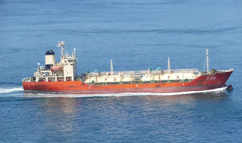 DL CAMELLIA General Cargo IMO 9244403 photo 10