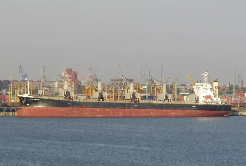 BULK NEWPORT Bulk Carrier IMO 9244611 photo 10