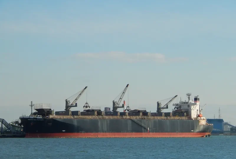 FP FUTURE Bulk Carrier IMO 9244702 photo 2
