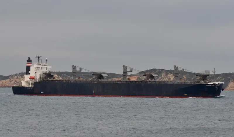 FP FUTURE Bulk Carrier IMO 9244702 photo 5