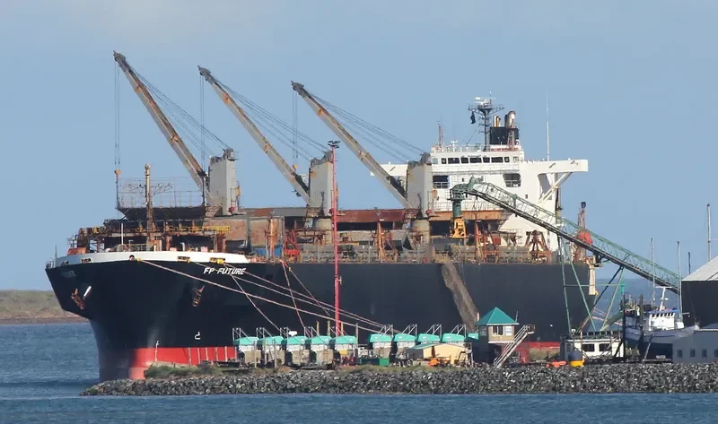 FP FUTURE Bulk Carrier IMO 9244702 photo 8