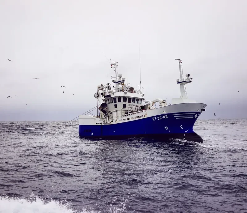 SKOTTIND General Cargo IMO 9244740 photo 3