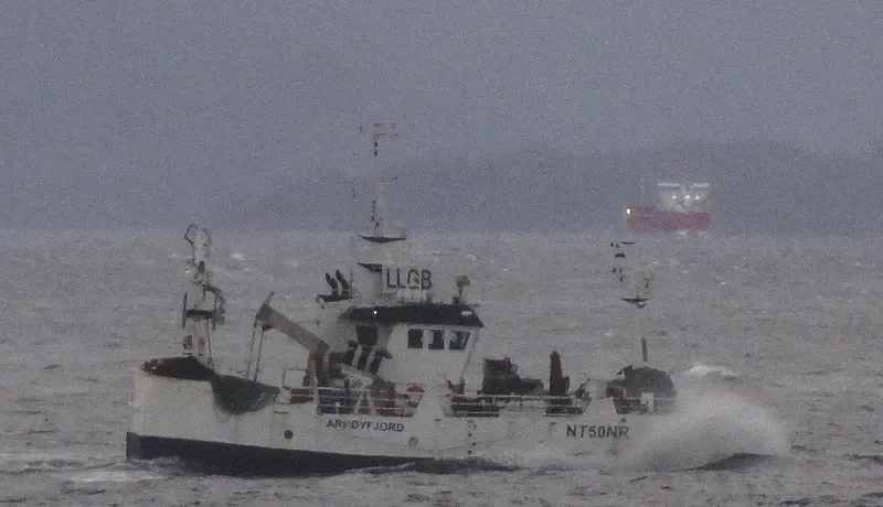 SKOTTIND General Cargo IMO 9244740 photo 6