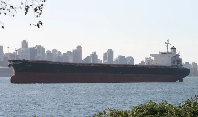 LEVANTES Bulk Carrier IMO 9244829 photo 10