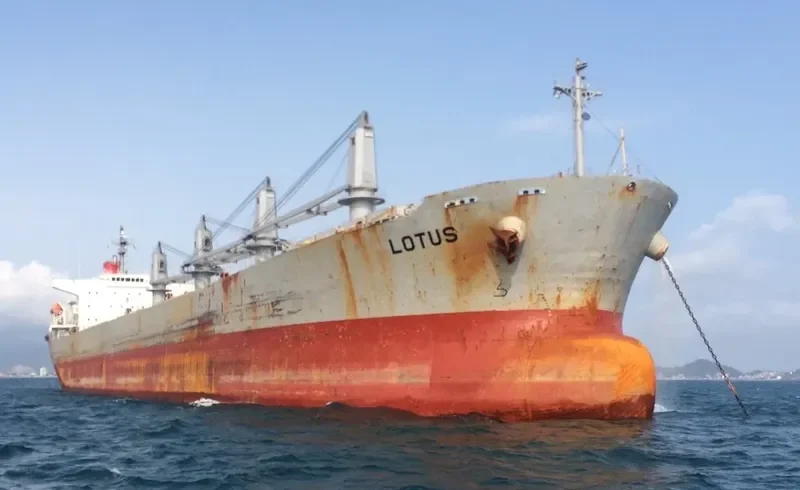 NEW LOTUS Bulk Carrier IMO 9244893 photo 4