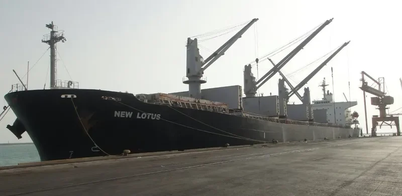 NEW LOTUS Bulk Carrier IMO 9244893 photo 6