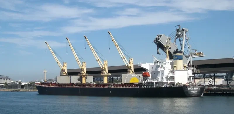 OCEAN PRINCE Bulk Carrier IMO 9244908