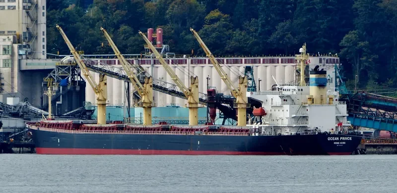 OCEAN PRINCE Bulk Carrier IMO 9244908 photo 7