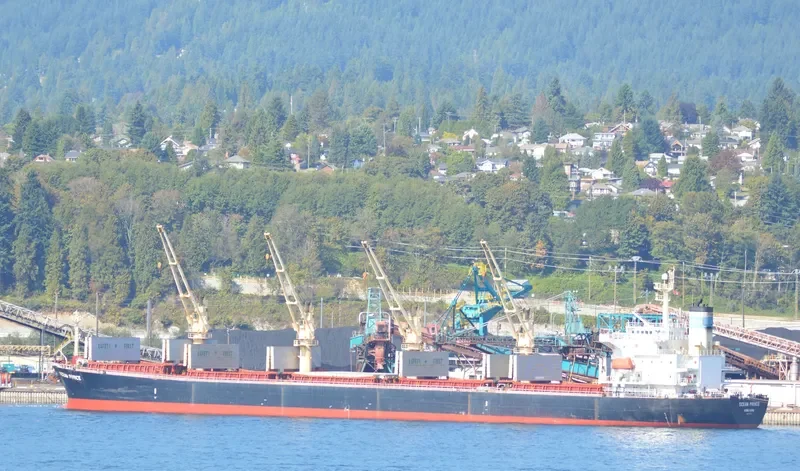 OCEAN PRINCE Bulk Carrier IMO 9244908 photo 8