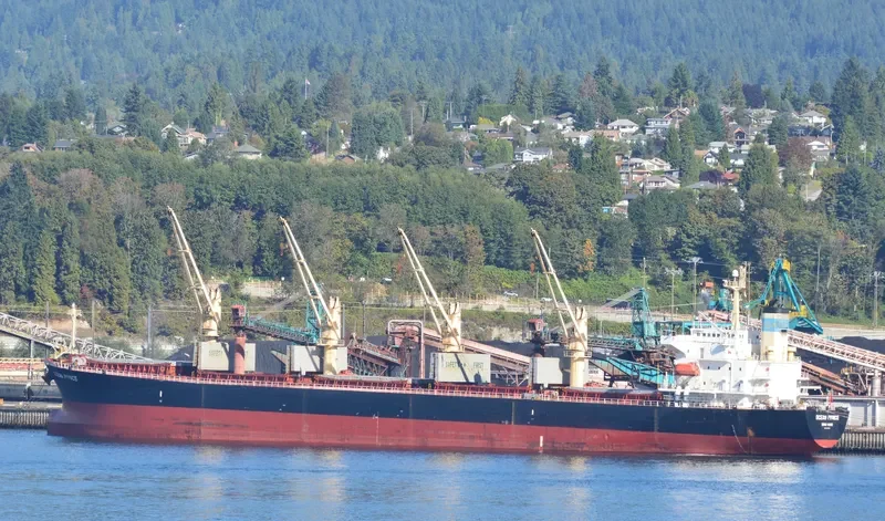 OCEAN PRINCE Bulk Carrier IMO 9244908 photo 10