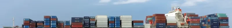 LION Container Ship IMO 9245029 photo 3