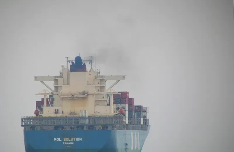 LION Container Ship IMO 9245029 photo 7