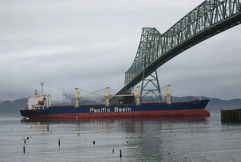 MOUNT ADAMS Bulk Carrier IMO 9245067