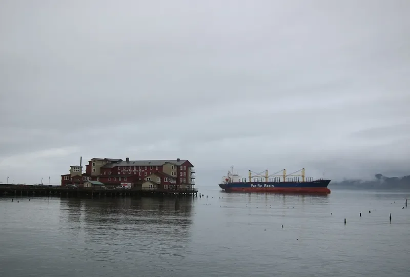 MOUNT ADAMS Bulk Carrier IMO 9245067 photo 2