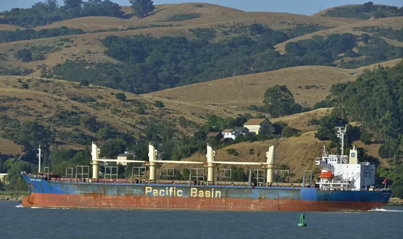 MOUNT ADAMS Bulk Carrier IMO 9245067 photo 3