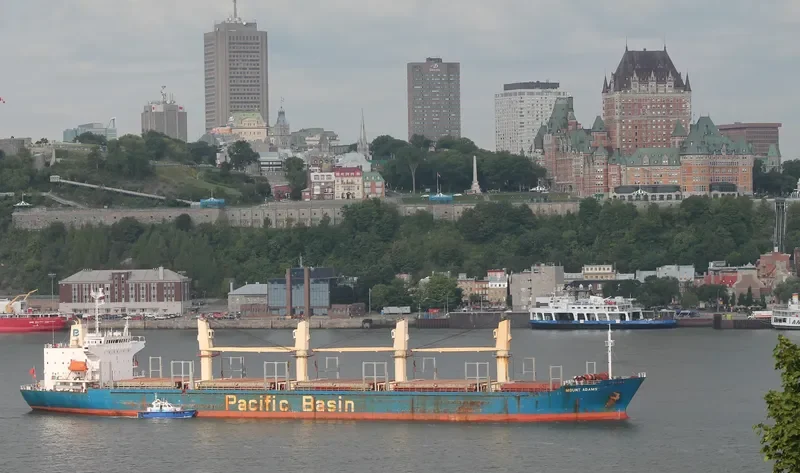 MOUNT ADAMS Bulk Carrier IMO 9245067 photo 7