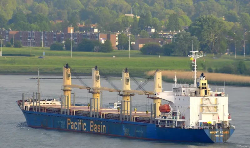 MOUNT ADAMS Bulk Carrier IMO 9245067 photo 8