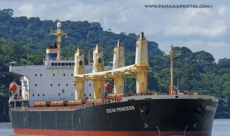 OCEAN PRINCESS Bulk Carrier IMO 9245196