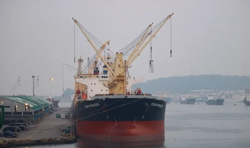 OCEAN PRINCESS Bulk Carrier IMO 9245196 photo 3