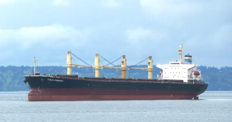 OCEAN PRINCESS Bulk Carrier IMO 9245196 photo 9