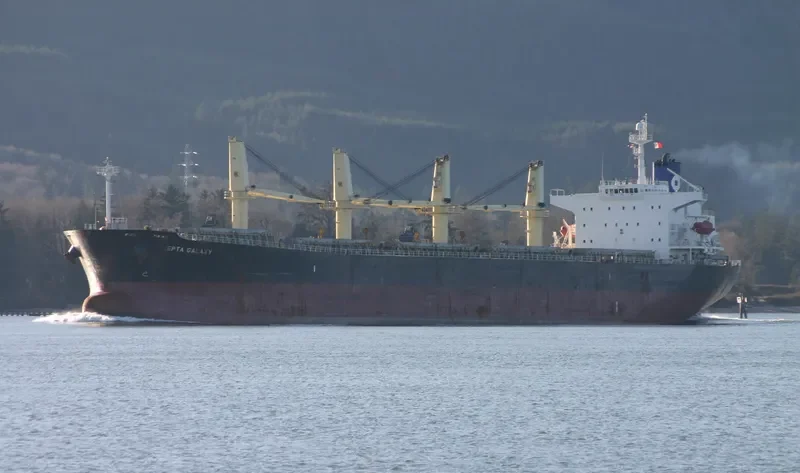 NUR ALLYA Bulk Carrier IMO 9245237 photo 8