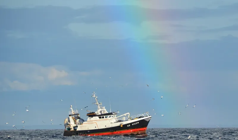 HERMINE General Cargo IMO 9245392 photo 10