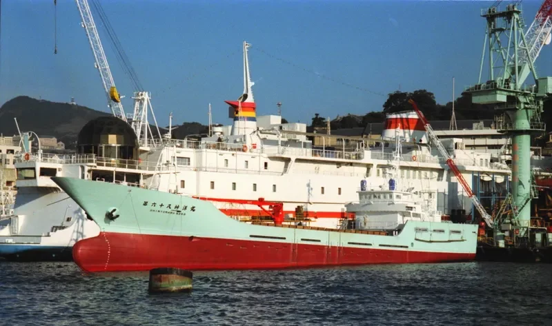 SHINYO MARU NO.68 General Cargo IMO 9246011 photo 3