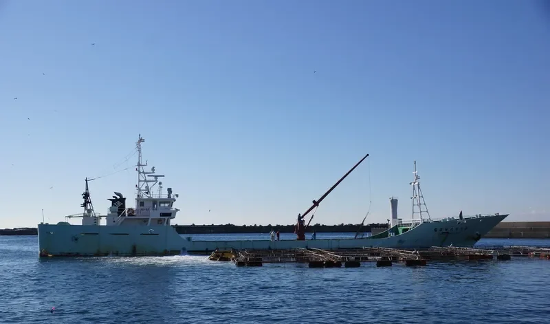 SHINYO MARU NO.68 General Cargo IMO 9246011 photo 4