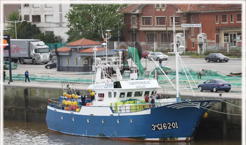 CANTO NUEVO General Cargo IMO 9246097